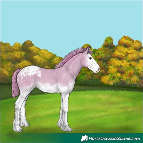 Horse Color:Watercolor White Spotted Classic Champagne Snowflake Varnish 