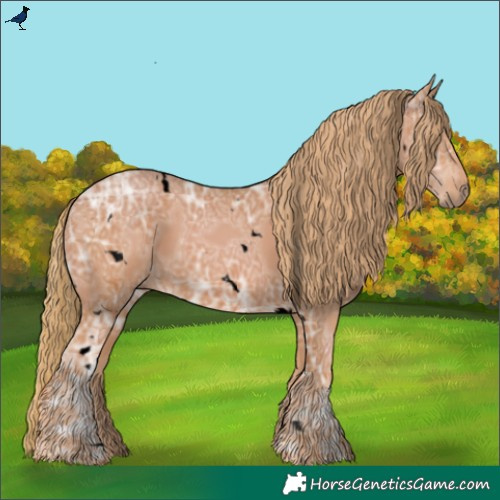 Horse Color:Void White Spotted Chestnut Ice Rabicano