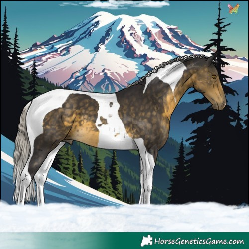 Horse Color:Silver Buckskin Tobiano 