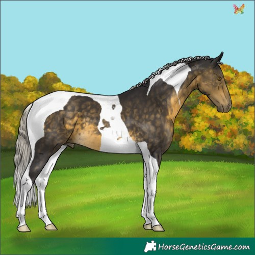 Horse Color:Silver Buckskin Tobiano 