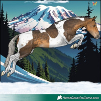 Horse Color:Silver Buckskin Tobiano 