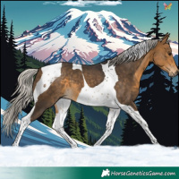 Horse Color:Silver Buckskin Tobiano