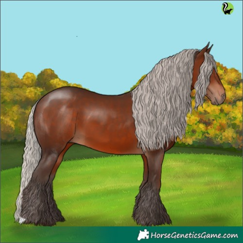 Horse Color:Silver Brown 