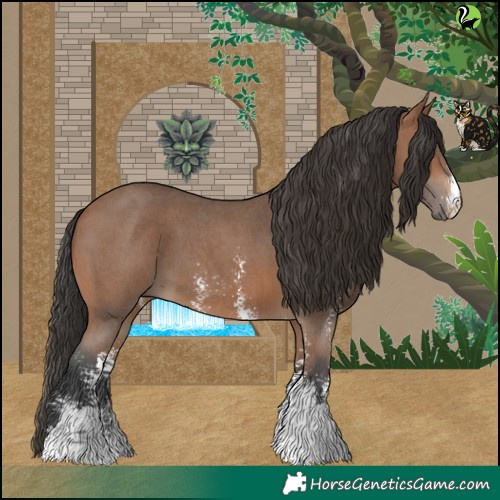 Horse Color:Bay Sabino 
