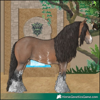Horse Color:Bay Sabino 
