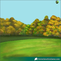 Horse Color:White Spotted Silver Brown Pearl 