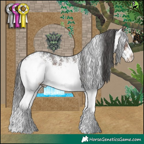 Horse Color:White Spotted Brown Rabicano 