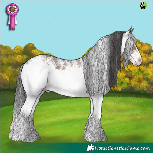Horse Color:White Spotted Brown Rabicano 