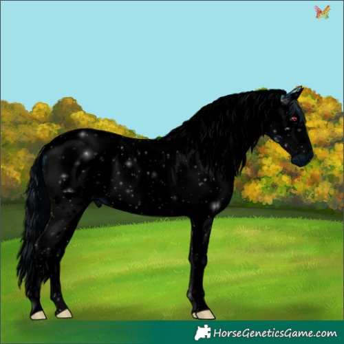 Horse Color:ERROR: UNKNOWN ANOMALY