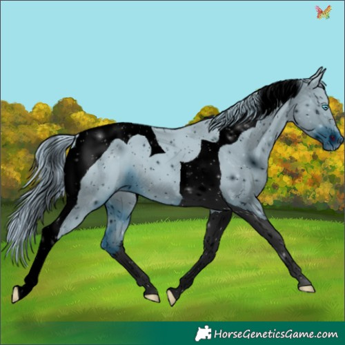 Horse Color:ERROR: UNKNOWN ANOMALY