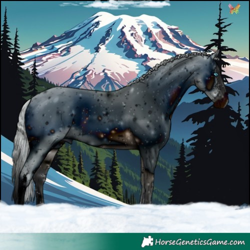 Horse Color:ERROR: UNKNOWN ANOMALY