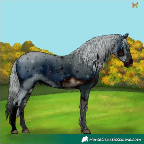Horse Color:ERROR: UNKNOWN ANOMALY