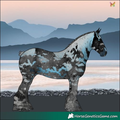 Horse Color:ERROR: UNKNOWN ANOMALY