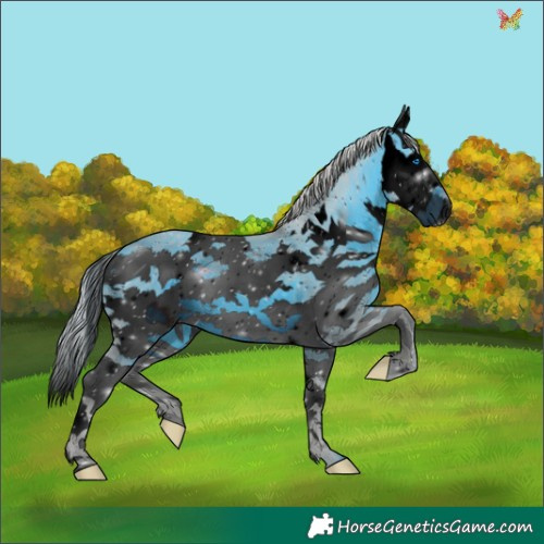 Horse Color:ERROR: UNKNOWN ANOMALY