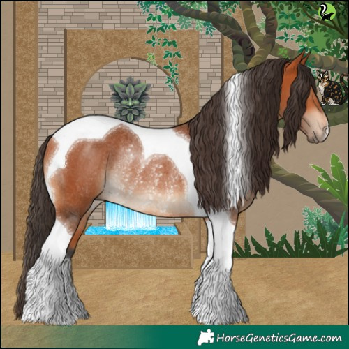 Horse Color:Bay Tobiano Rabicano 
