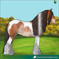 Horse Color:Bay Tobiano Rabicano 