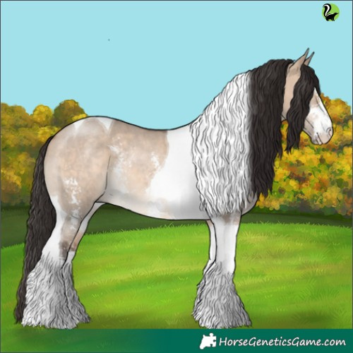 Horse Color:Brown Dun Sabino Tobiano Rabicano 