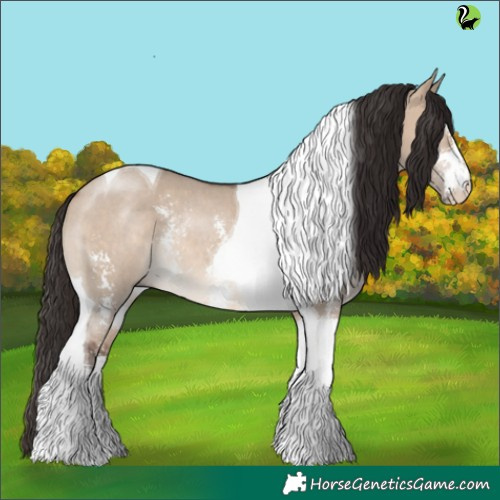 Horse Color:Brown Dun Sabino Tobiano Rabicano