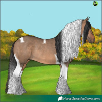 Horse Color:Brown Dun Tobiano Rabicano