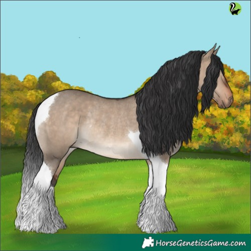 Horse Color:Brown Dun Tobiano Rabicano