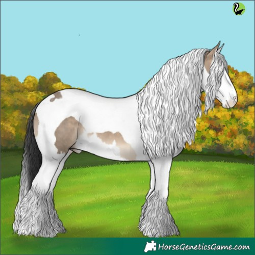Horse Color:Brown Dun Splash Tobiano 
