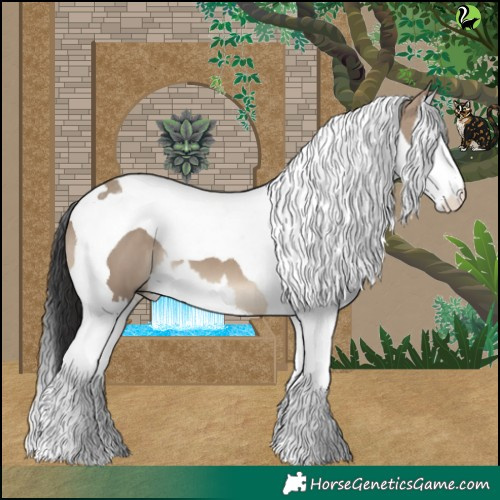 Horse Color:Brown Dun Splash Tobiano 
