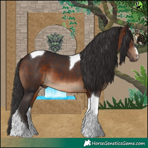 Horse Color:Brown Tobiano 