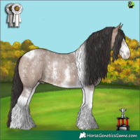Horse Color:Brown Dun Sabino Tobiano 