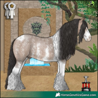 Horse Color:Brown Dun Sabino Tobiano