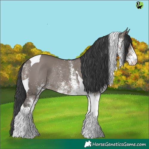 Horse Color:White Spotted Grullo Tobiano Rabicano