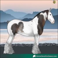 Horse Color:Brown Splash Tobiano Rabicano 