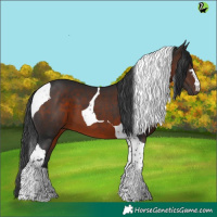 Horse Color:Brown Tobiano