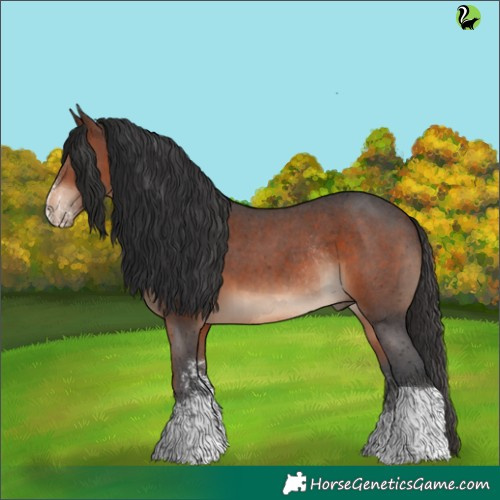 Horse Color:Brown Sabino Tobiano Rabicano 