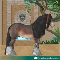 Horse Color:Brown Sabino Tobiano Rabicano