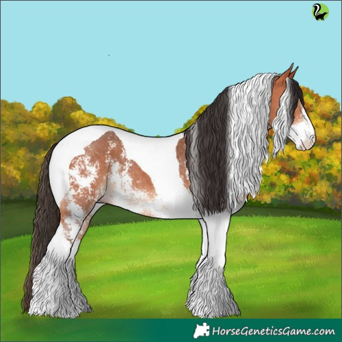 Horse Color:Bay Sabino Tobiano 