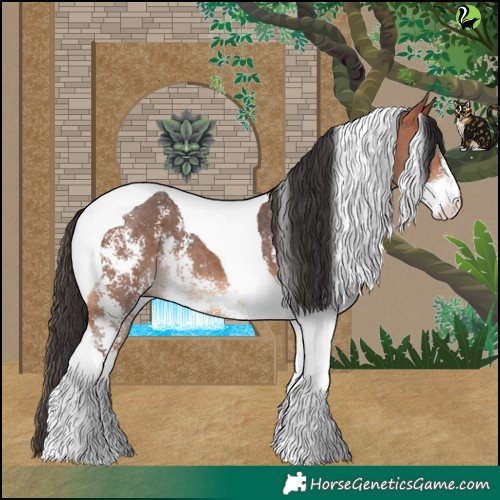 Horse Color:Bay Sabino Tobiano 