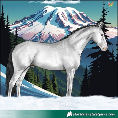 Horse Color:White Spotted Classic Champagne Chinchilla Onyx 