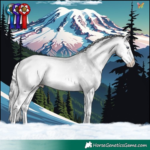 Horse Color:White Spotted Silver Amber Champagne Chinchilla Onyx Splash 