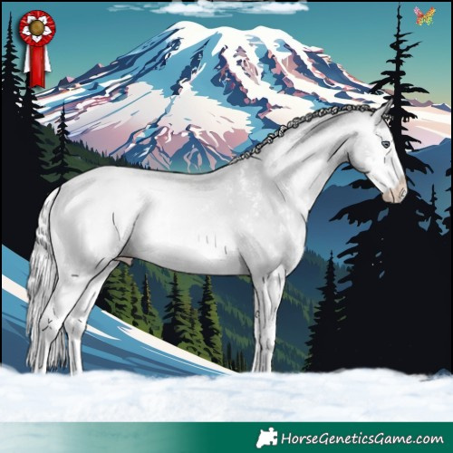 Horse Color:White Spotted Silver Amber Champagne Chinchilla Onyx Splash 