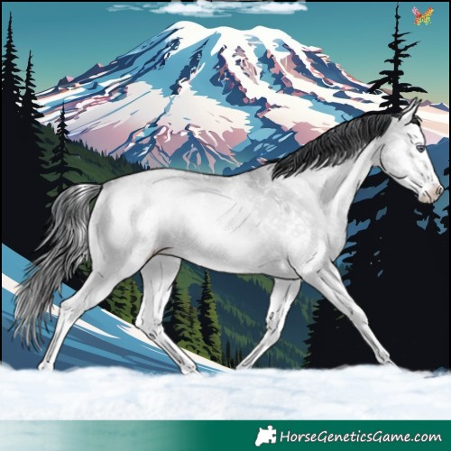 Horse Color:White Spotted Sable Champagne Chinchilla Onyx Splash 