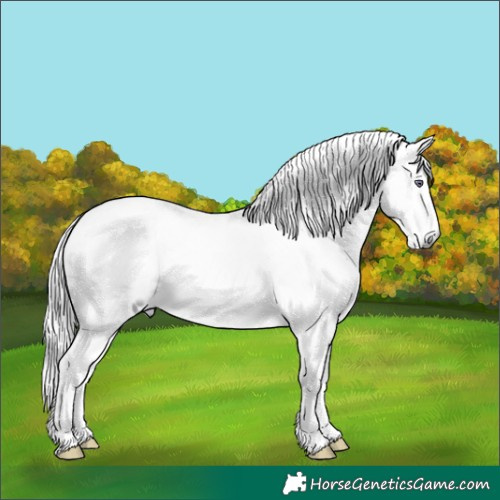 Horse Color:White Spotted Chestnut Chinchilla 