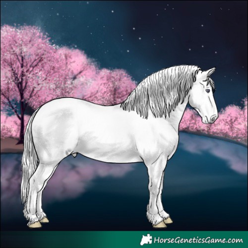 Horse Color:White Spotted Chestnut Chinchilla 