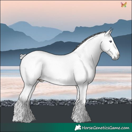 Horse Color:White Spotted Chestnut Chinchilla 