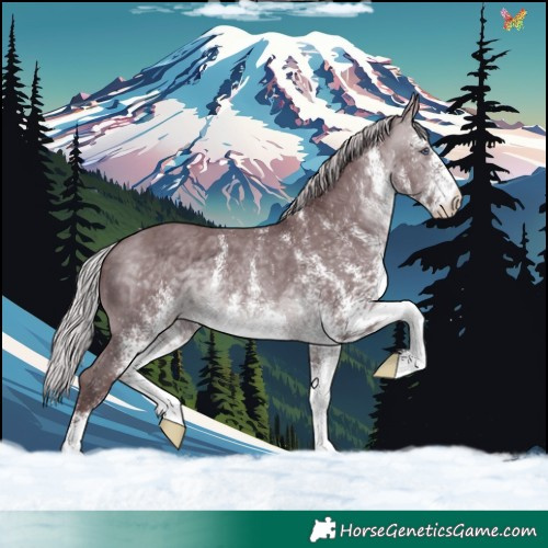 Horse Color:White Spotted Chocolate Silver Brown Chinchilla 