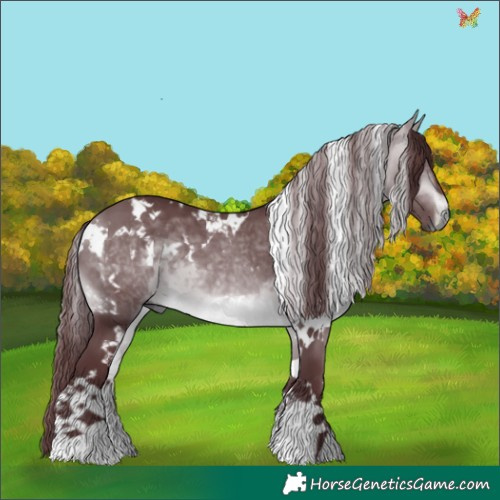 Horse Color:White Spotted Chocolate Brown Chinchilla 