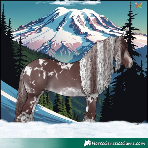 Horse Color:White Spotted Chocolate Brown Chinchilla 