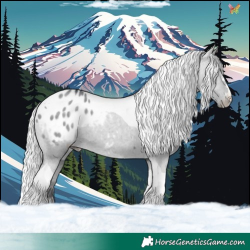 Horse Color:Silver Grullo Chinchilla Tobiano Appaloosa 