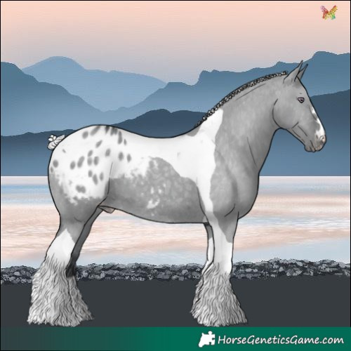 Horse Color:Silver Grullo Chinchilla Tobiano Varnish 