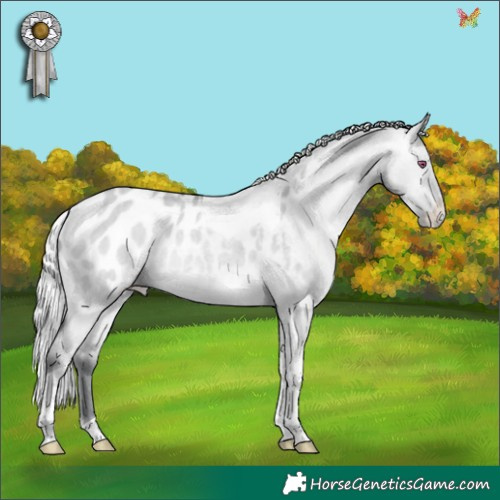 Horse Color:Silver Brown Chinchilla Roan Dun Tobiano Appaloosa Rabicano 