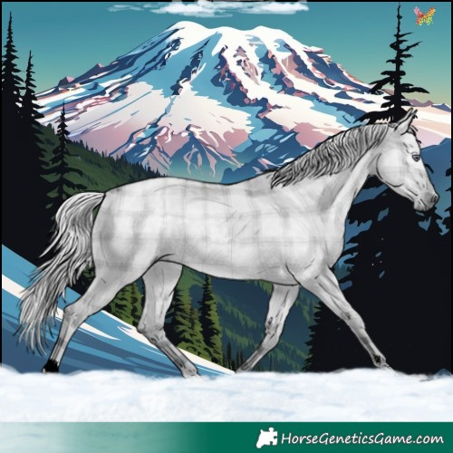 Horse Color:Plaid  Silver Grullo Chinchilla 